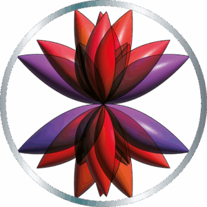 Blume