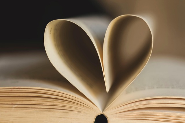Buch mit aufgeschlagenen Seiten